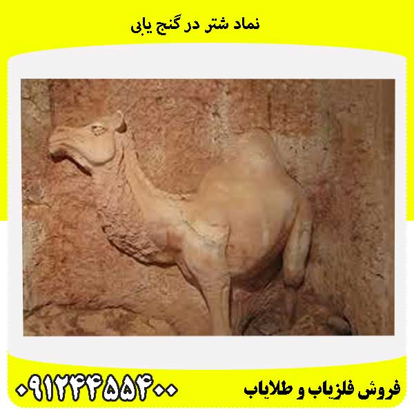 نماد شتر در گنج یابی09124455400