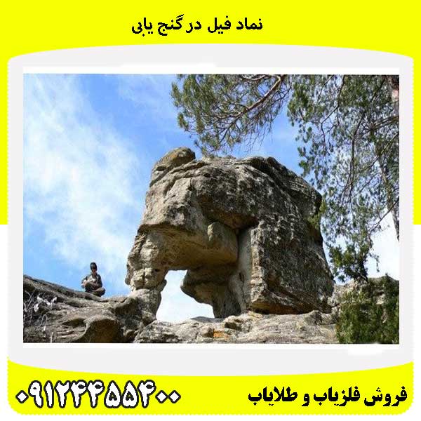 نماد فیل در گنج یابی09124455400