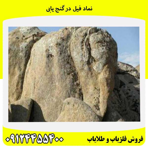 نماد فیل در گنج یابی09124455400