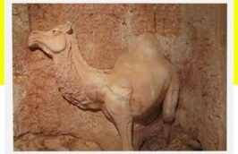 نماد شتر در گنج یابی 09124455400