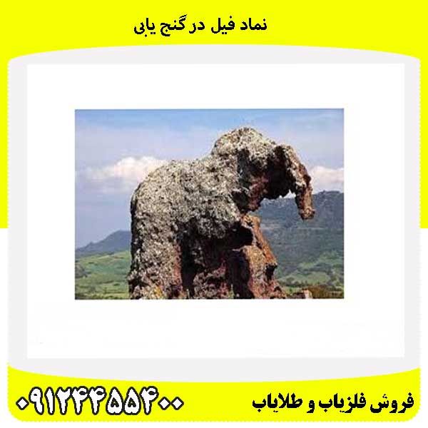 نماد فیل در گنج یابی09124455400
