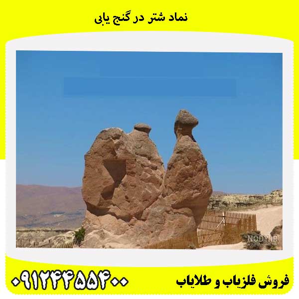 نماد شتر در گنج یابی09124455400