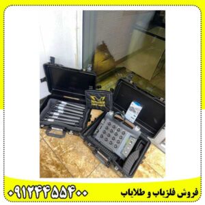 فلزیاب پروتون 16 سنسوره دست دوم