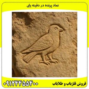 نماد پرنده در دفینه یابی 
