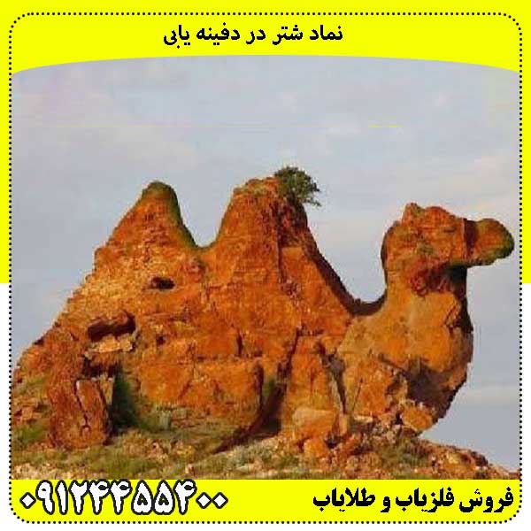 نماد شتر در دفینه یابی