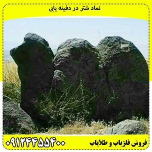نماد شتر در دفینه یابی