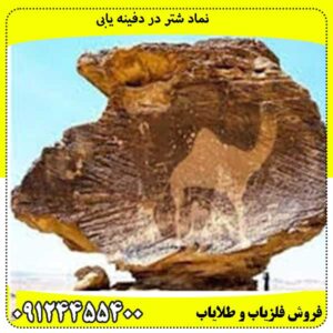 نماد شتر در دفینه یابی
