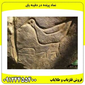 نماد پرنده در دفینه یابی 