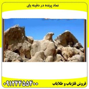 نماد پرنده در دفینه یابی 
