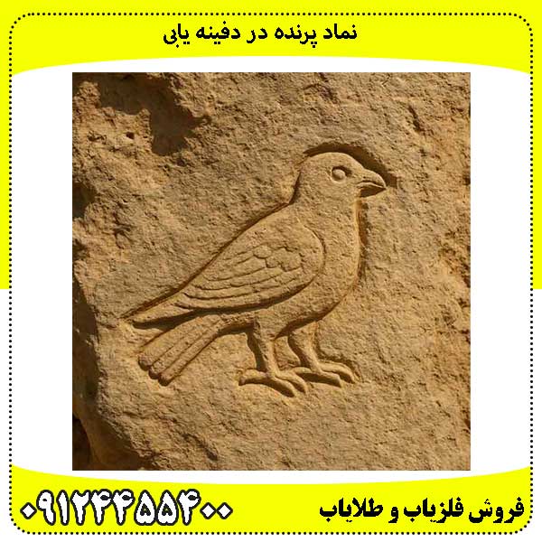 نماد پرنده در دفینه یابی